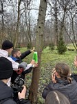 Zdjęcie: 7