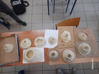 Zdjęcie: 8