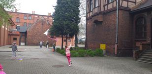 Zdjęcie: 12