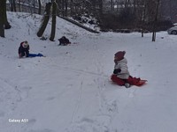 Zdjęcie: 1