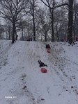 Zdjęcie: 8