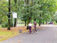 Zdjęcie: 152