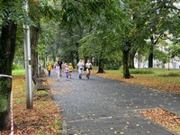 Zdjęcie: 67