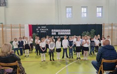 Zdjęcie: 4