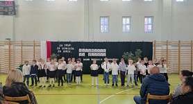 Zdjęcie: 6