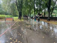 Zdjęcie: 50