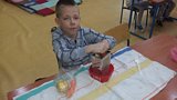Zdjęcie: 11