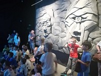 Zdjęcie: 11