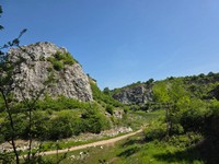 Zdjęcie: 79