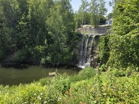 Zdjęcie: 81