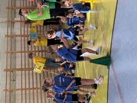Zdjęcie: 12