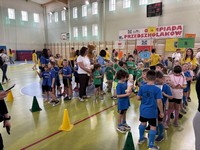 Zdjęcie: 182