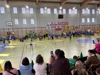 Zdjęcie: 73
