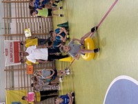 Zdjęcie: 92