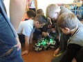 Zdjęcie: 14