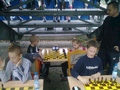Zdjęcie: 377