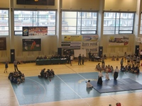 Zdjęcie: 13