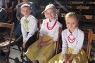 Zdjęcie: 8
