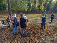Zdjęcie: 12