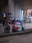 Zdjęcie: 11