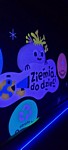 Zdjęcie: 21