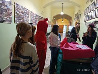 Zdjęcie: 49