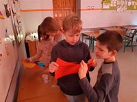Zdjęcie: 34